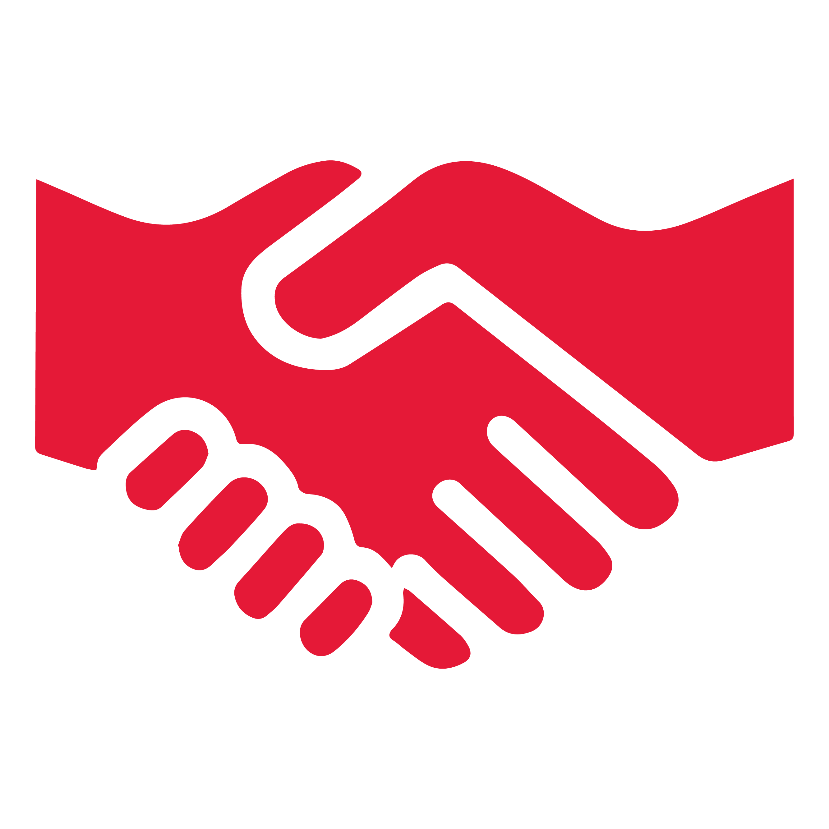 Trusted by Safety Professional Icon