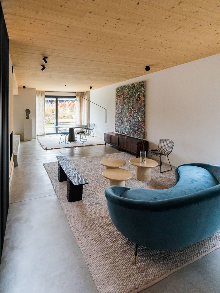 Belgian Art Advisor Alexia Werrie Brussels Art projects in private house near Brussels. 