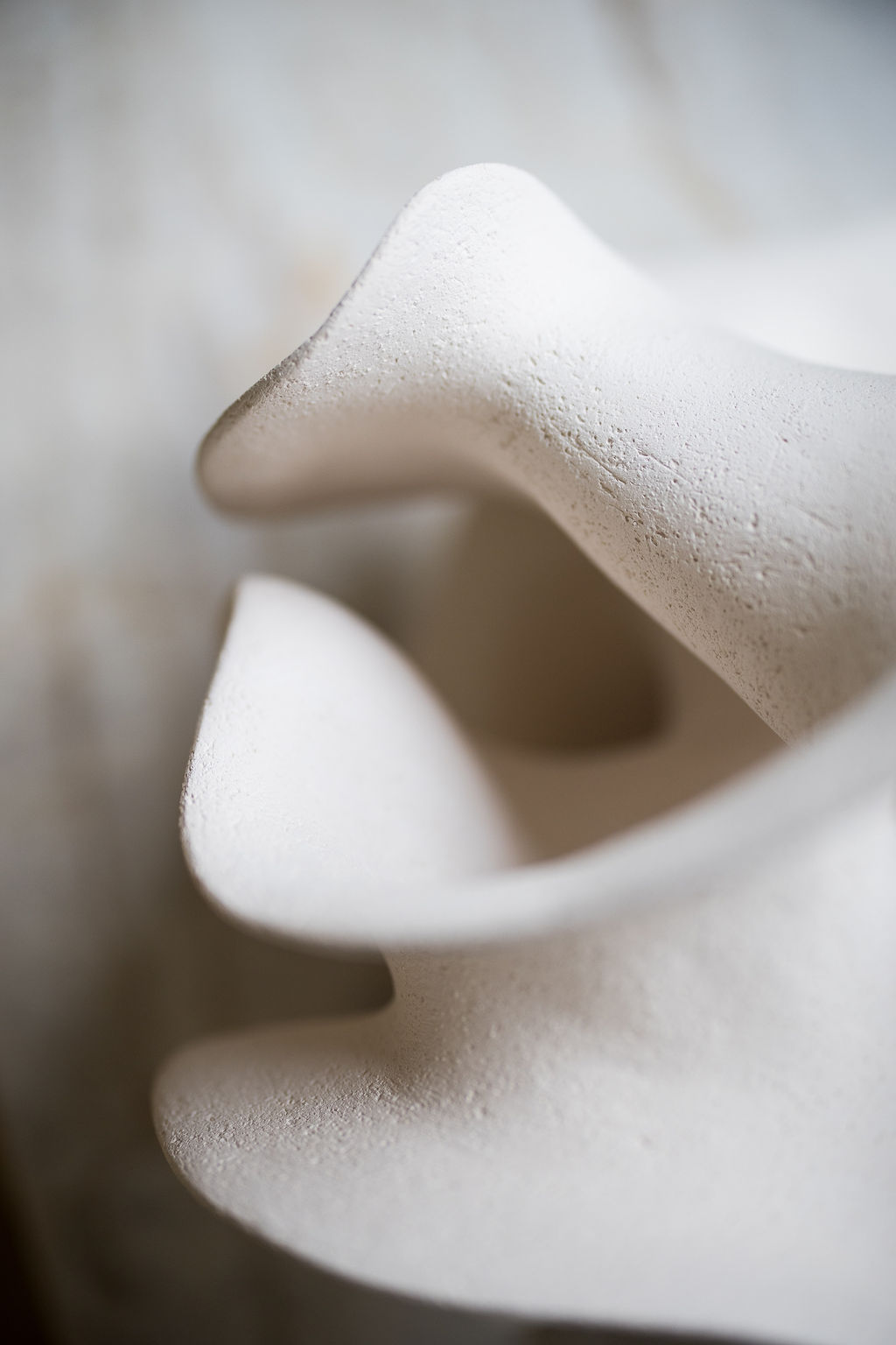 Macro detail of Liliane Demeester's white ceramic sculpture showing its finely textured surface and undulating edges.