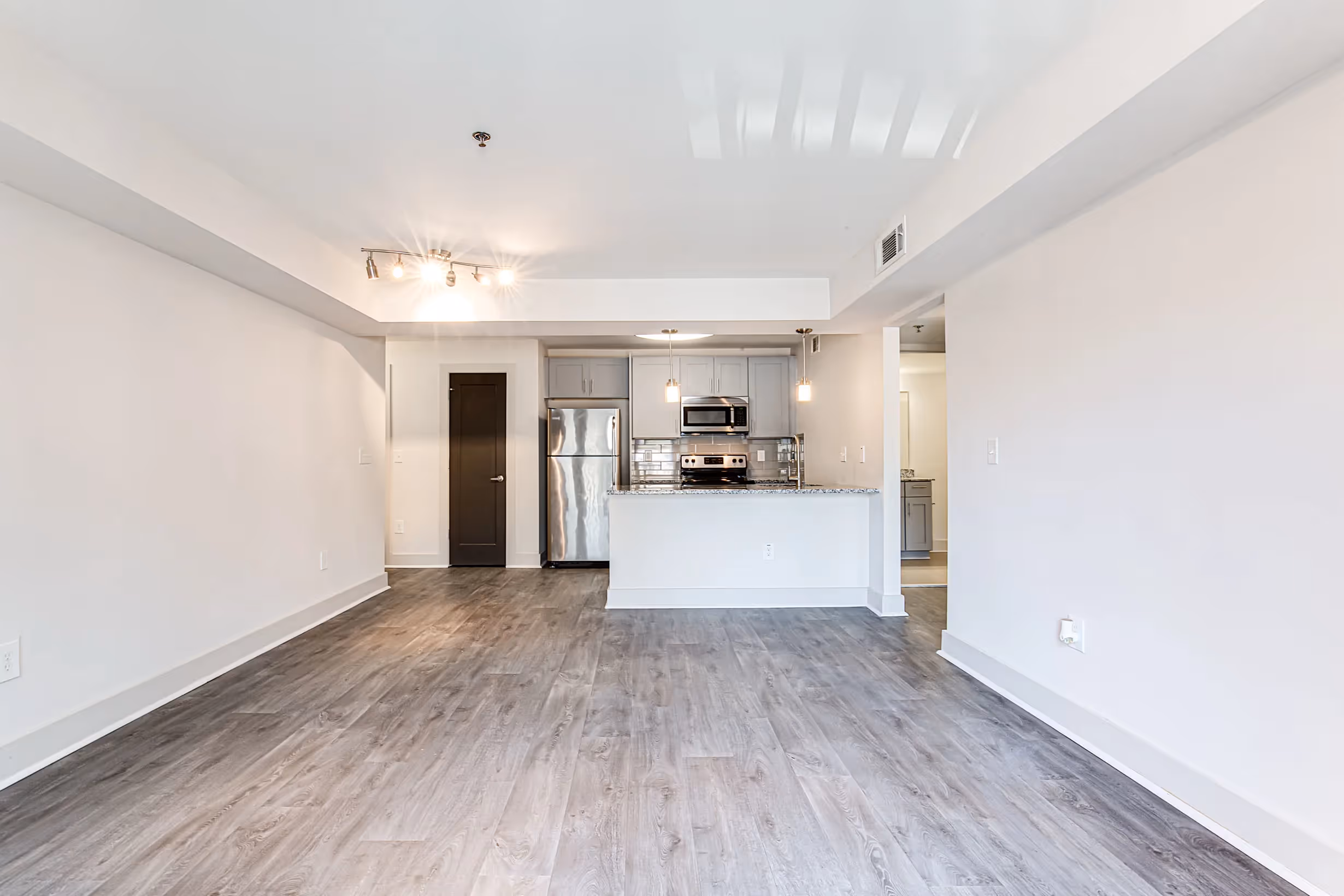 kitchen and living room overview 