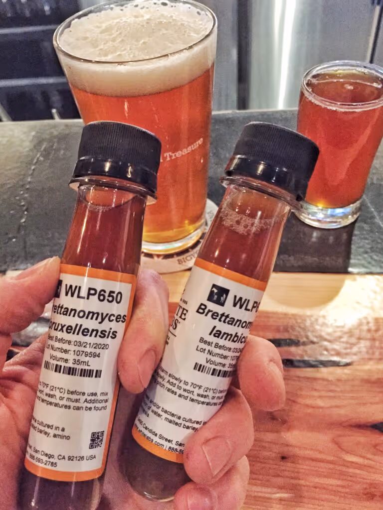 A hand holds vials filled with sour yeast.