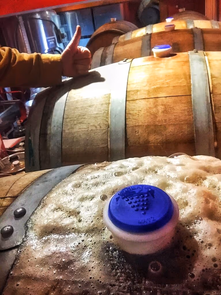 Wooden barrels with stoppers are visible; there's frothy beer bubbling at the top.