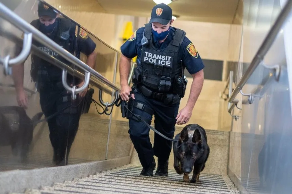 A New Jersey Transit Police officer wearing a mask and uniform walks up a stairwell with a K9 police dog during patrol.