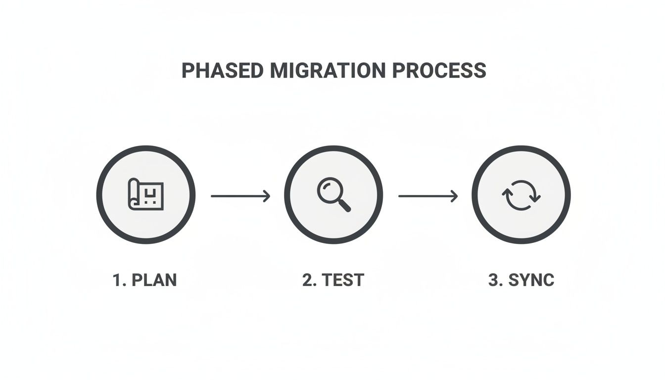 Diagram illustrating a phased migration process with three steps: Plan, Test, and Sync.