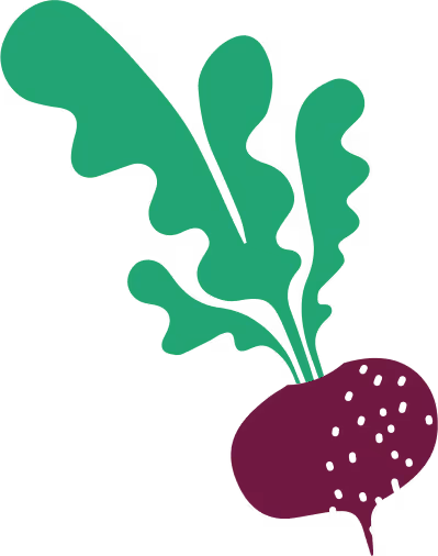 Illustration de betterave