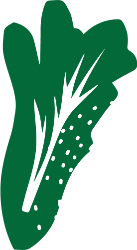 Illustration d'une feuille de laitue