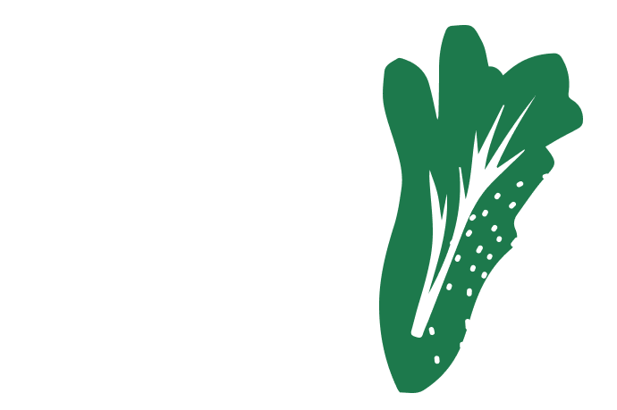 Illustration d'une laitue