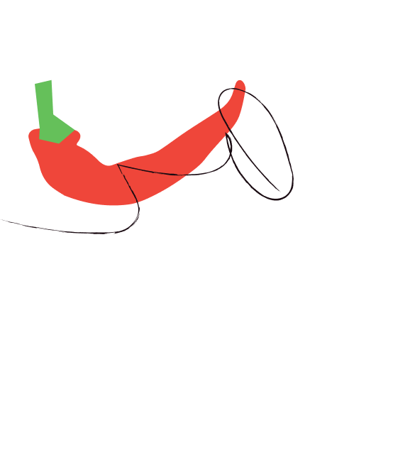 Illustration d'un piment