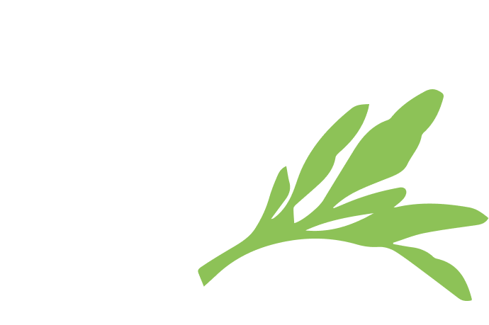 Illustration d'un légume feuille