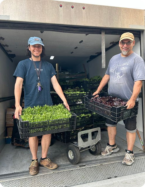 Collecte de légumes au Pôle logistique de Bouffe-Action de Rosemont