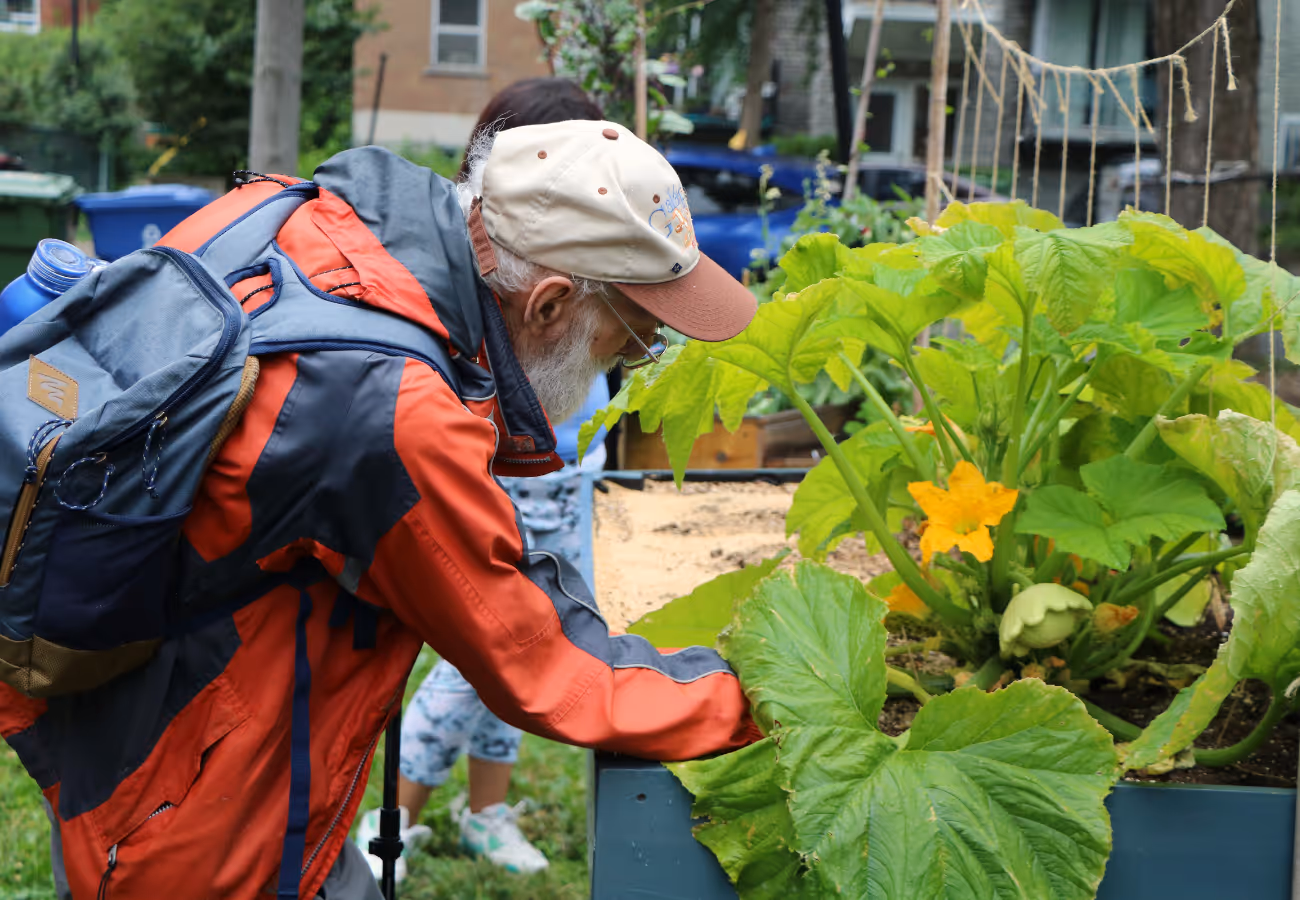 Participant homme âgé et jardin en bac