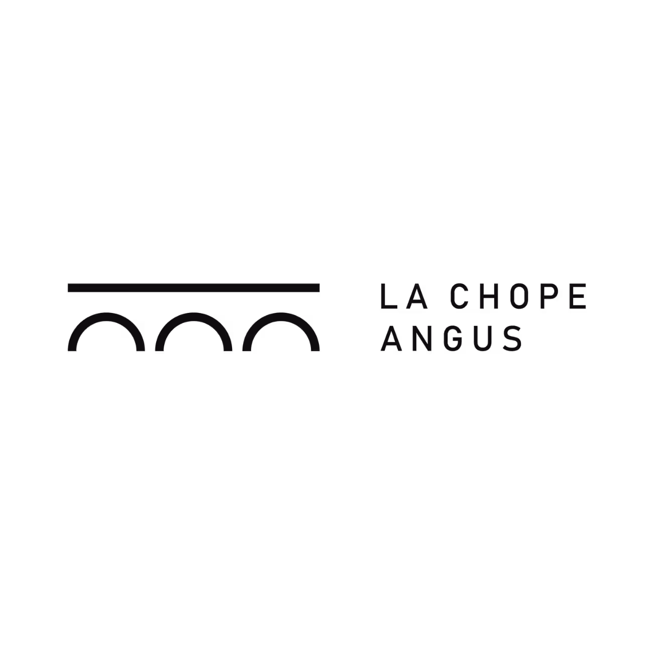 Logo La Chope Angus