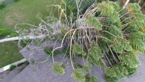 hurricane damage to shingles