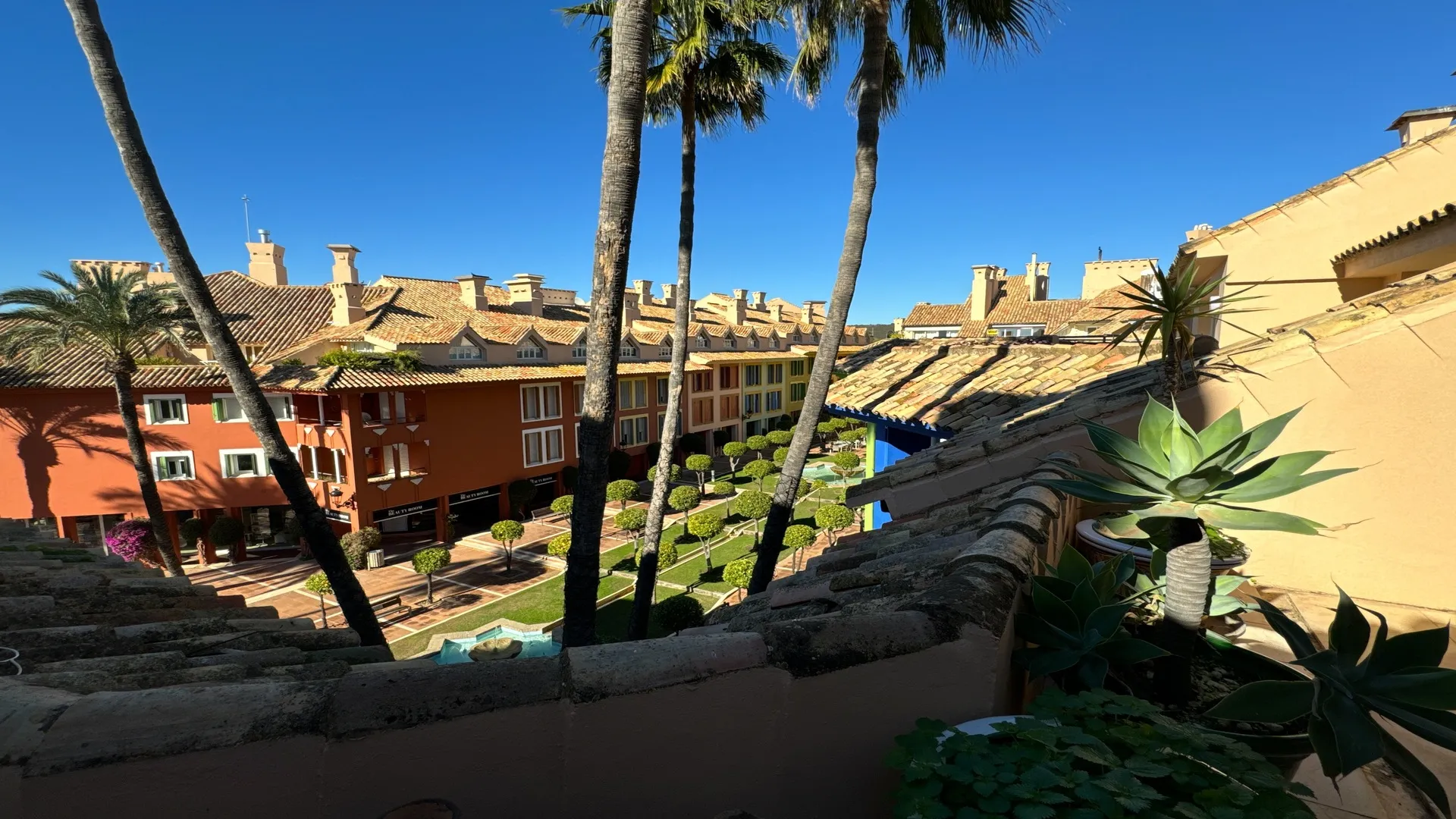 Terraza exterior con palmeras y edificios alrededor