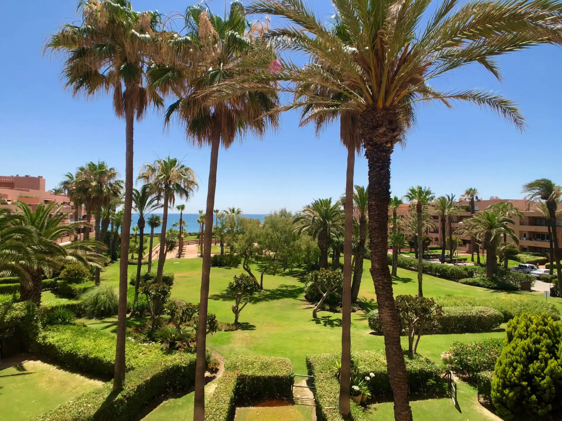 Jardines paisajísticos con palmeras y césped cerca de primera línea de playa
