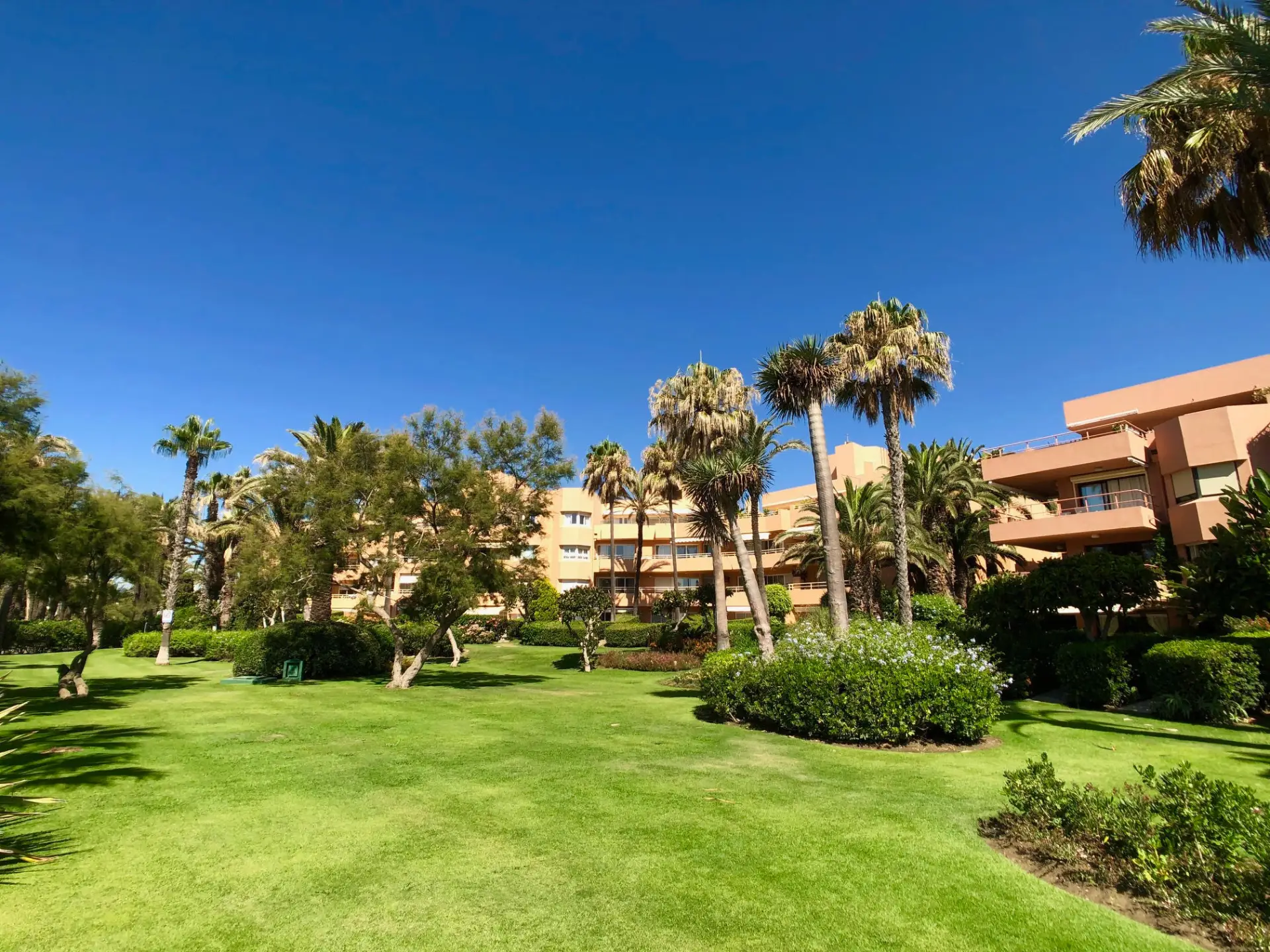 Jardines comunitarios con césped, palmeras y edificios de apartamentos