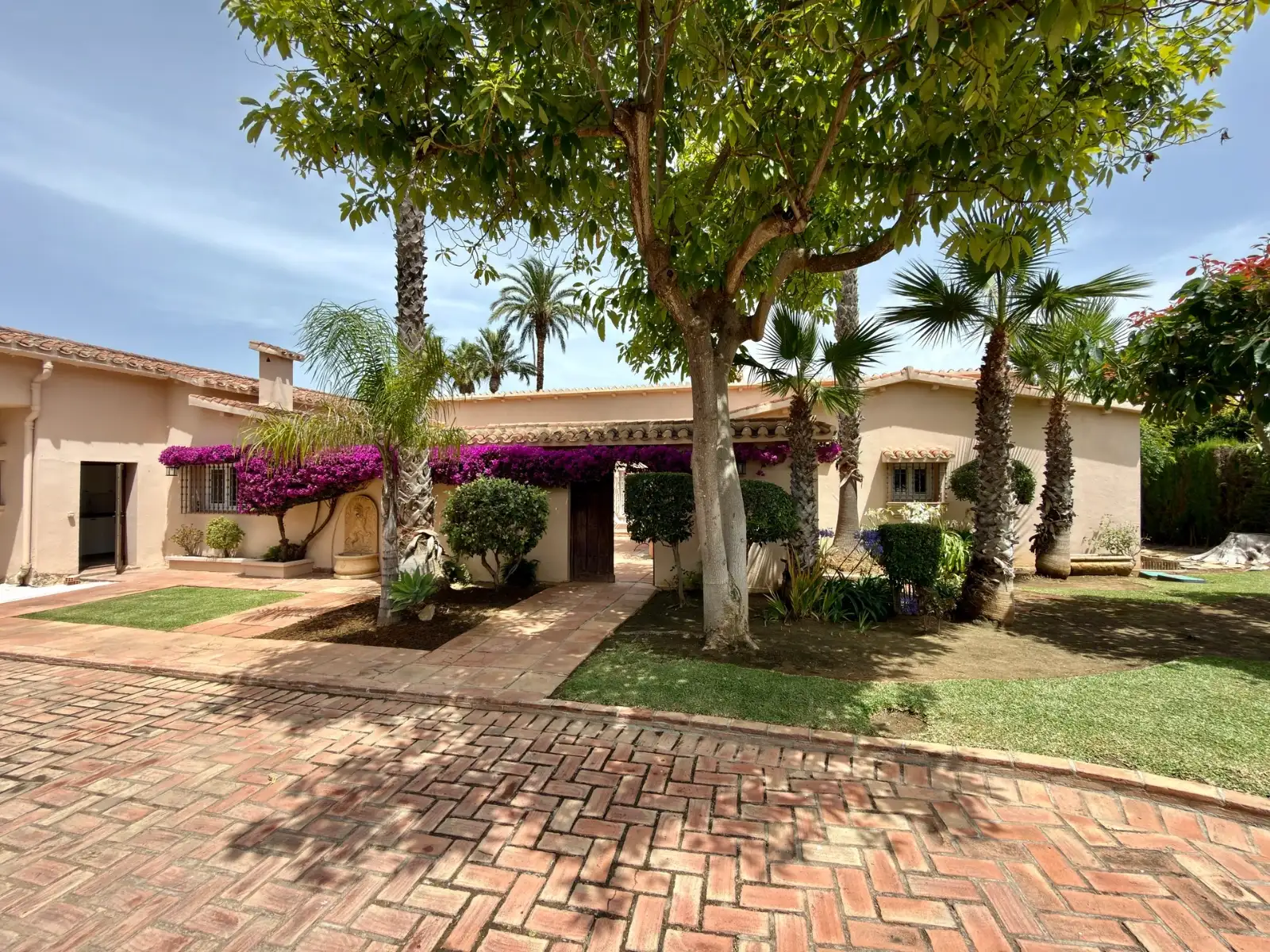 Andalucian courtyard with mature tree, patio and villa exterior