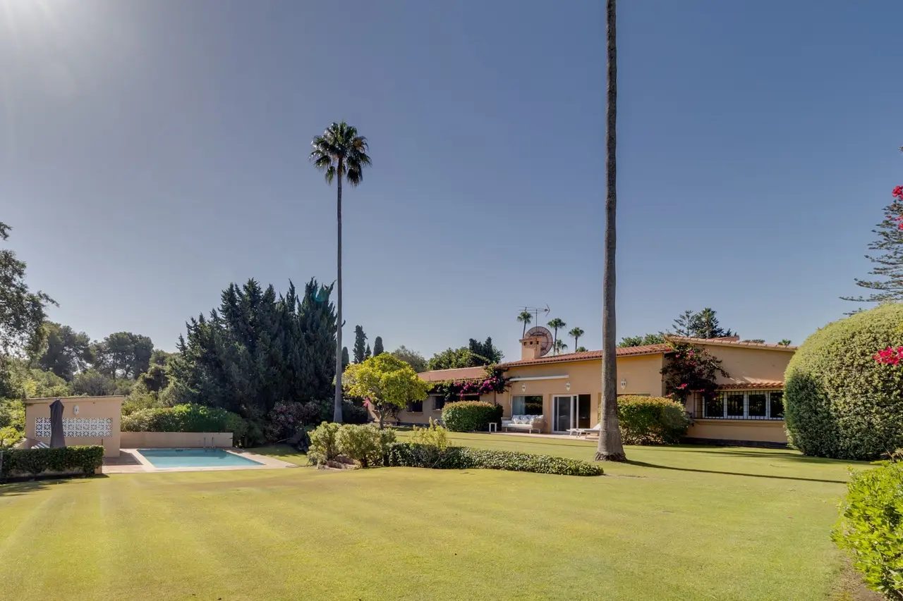 Jardín con césped, palmera y exterior de la villa en la Zona B de Sotogrande