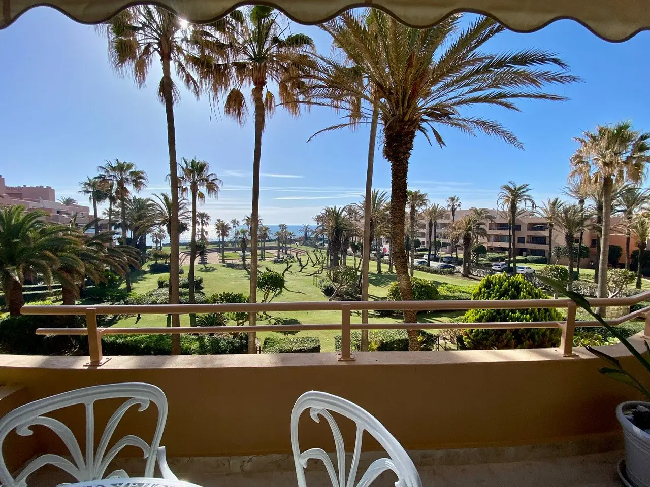 Vista desde la terraza a las palmeras, los jardines y el entorno de primera línea de playa