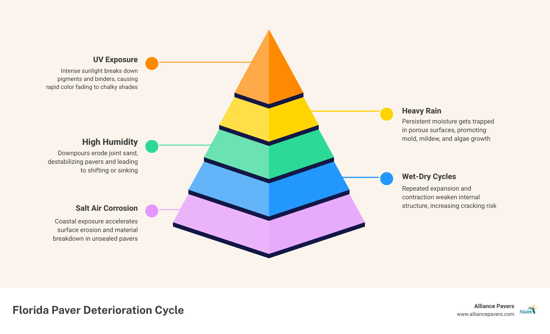 Infographic showing the cycle of Florida paver deterioration from UV sun rain humidity and joint erosion - how florida rain Infographic showing the cycle of Florida paver deterioration from UV sun rain humidity and joint erosion - how florida rain
