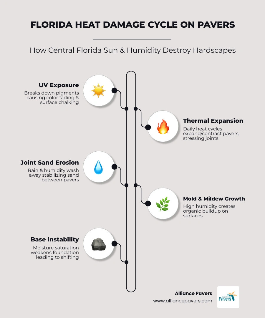Infographic showing the Florida heat damage cycle on hardscape materials from UV to cracking - how florida heat affects your Infographic showing the Florida heat damage cycle on hardscape materials from UV to cracking - how florida heat affects your