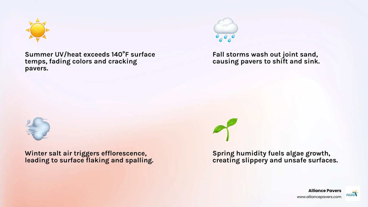 Infographic showing four seasons of Florida paver wear: summer UV/heat, fall storms, winter salt air, spring algae growth