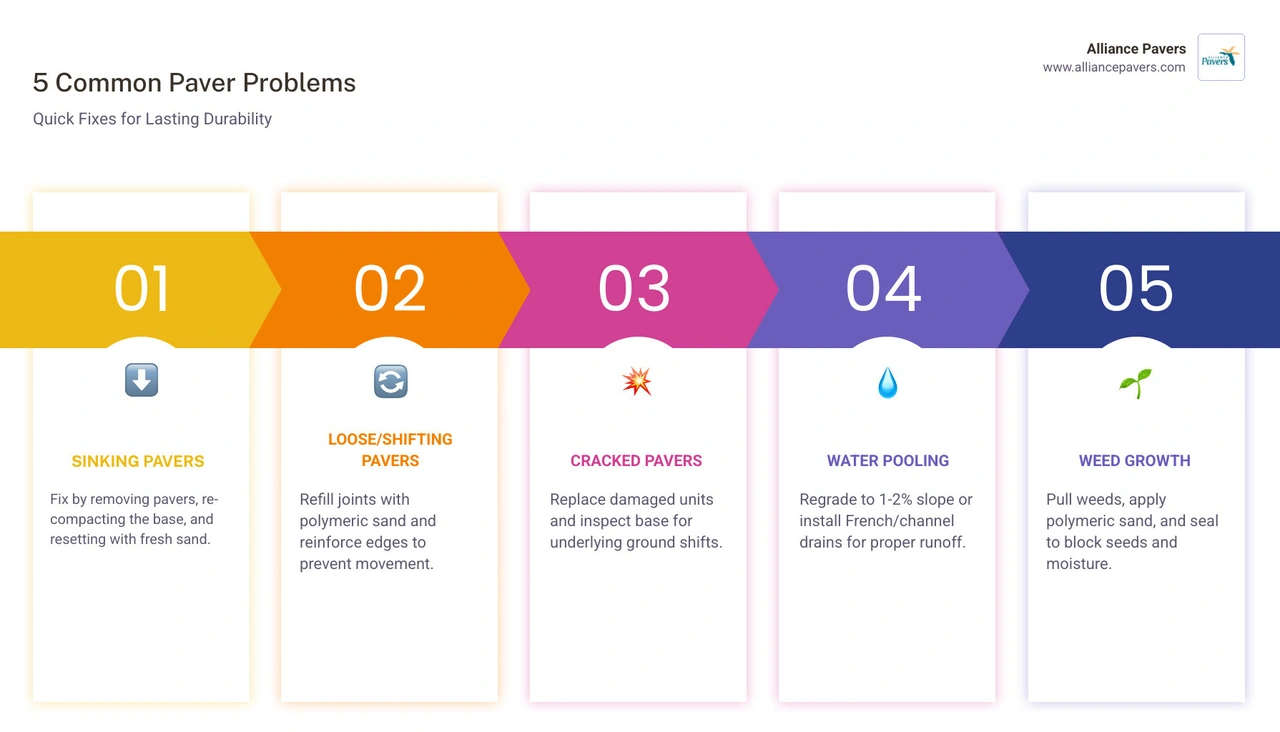 Infographic showing 7 common paver problems, their causes, and fixes including sinking, weeds, drainage, and edge failure Infographic showing 7 common paver problems, their causes, and fixes including sinking, weeds, drainage, and edge failure