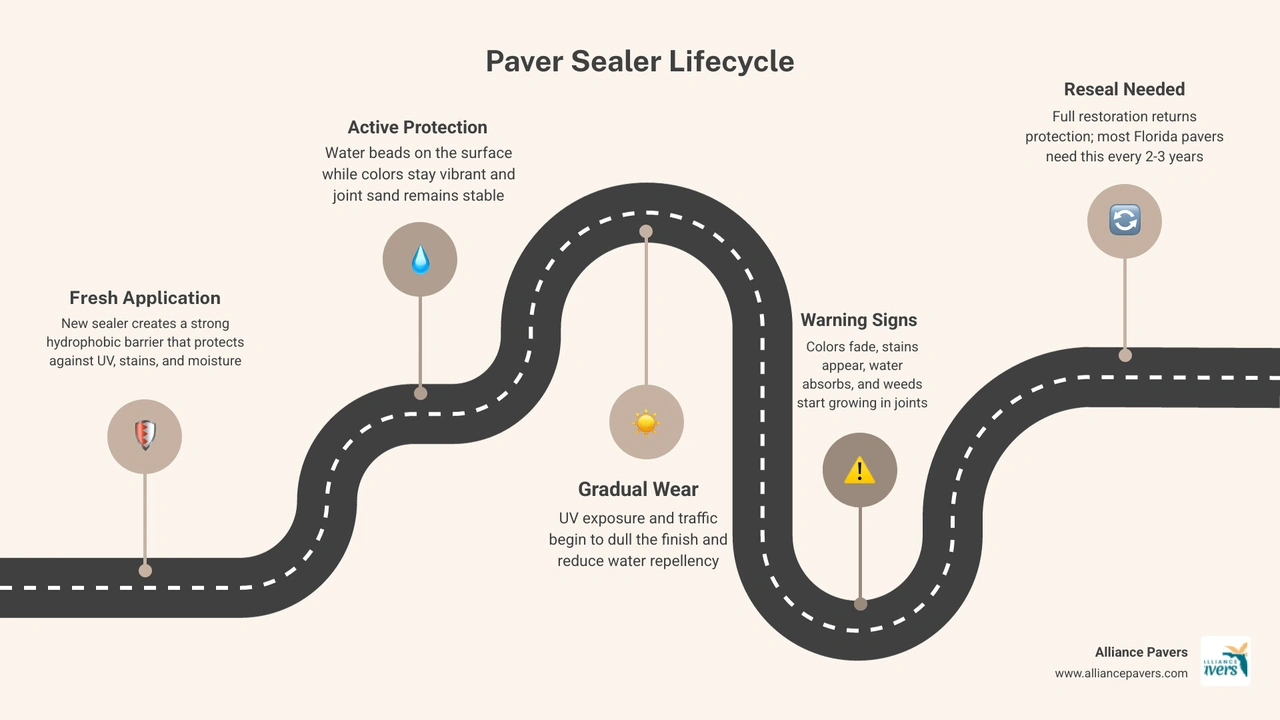 Infographic showing the lifecycle of paver sealer from fresh application to wear signs and resealing infographic Infographic showing the lifecycle of paver sealer from fresh application to wear signs and resealing infographic