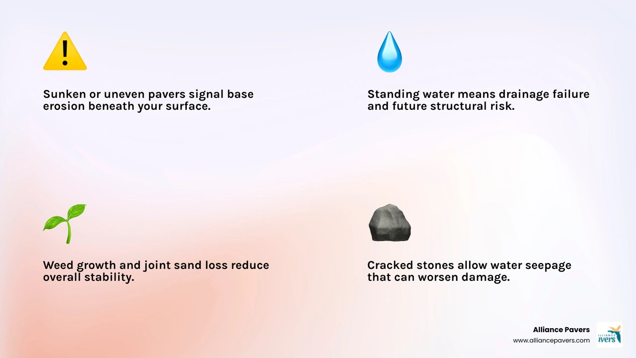 Infographic showing the 7 warning signs your pavers need professional attention and what each sign means infographic Infographic showing the 7 warning signs your pavers need professional attention and what each sign means infographic