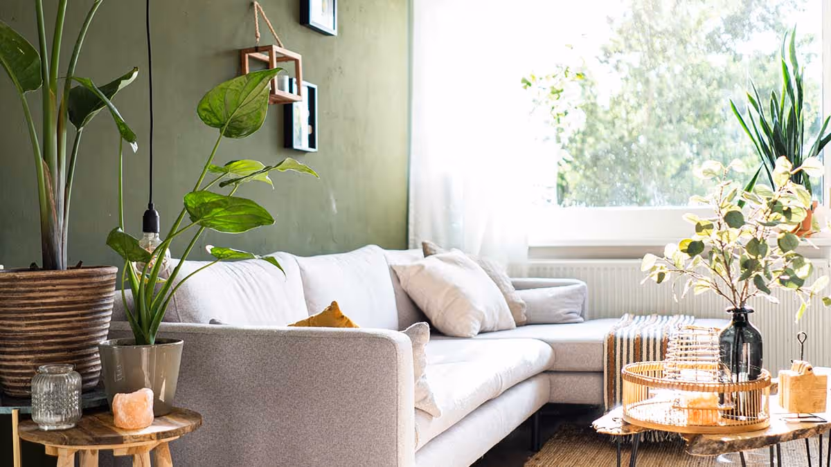 Woonkamer met veel planten