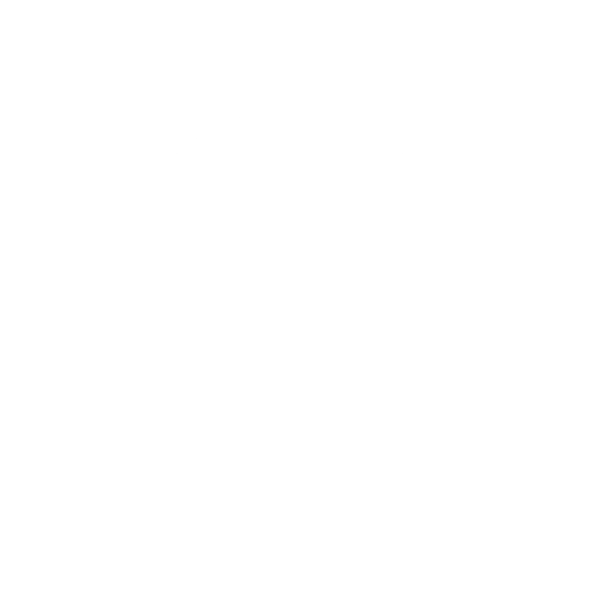 White Pan Am Logo