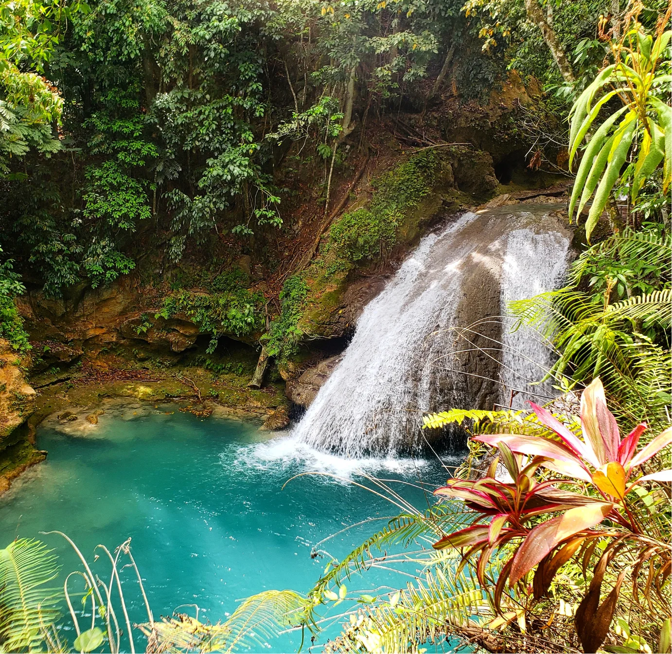 Waterfall and rainforest pool in Jamaica near Ocho Rios
