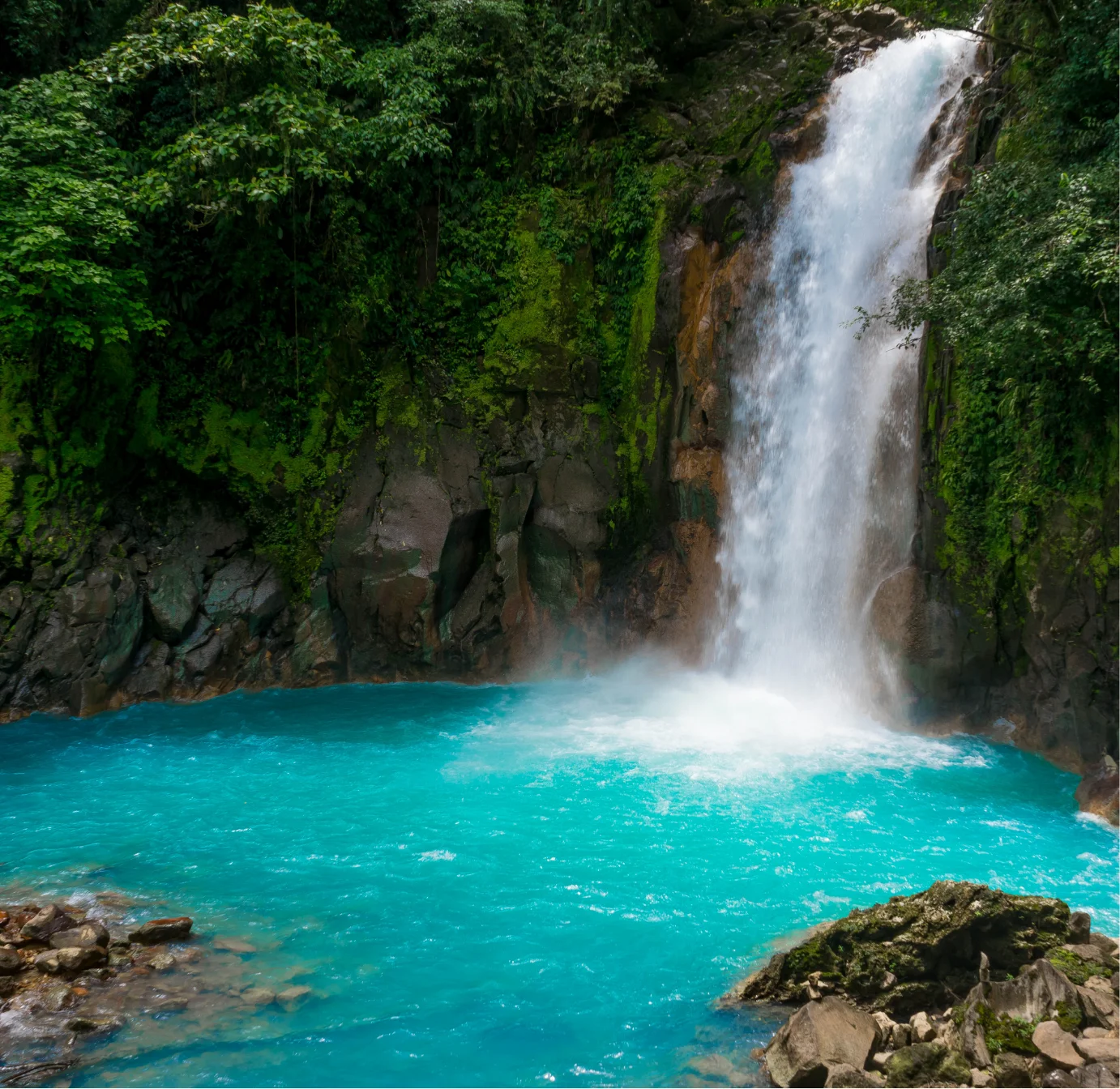 Tropical waterfall surrounded by lush vegetation in Puerto Limón, Costa Rica
