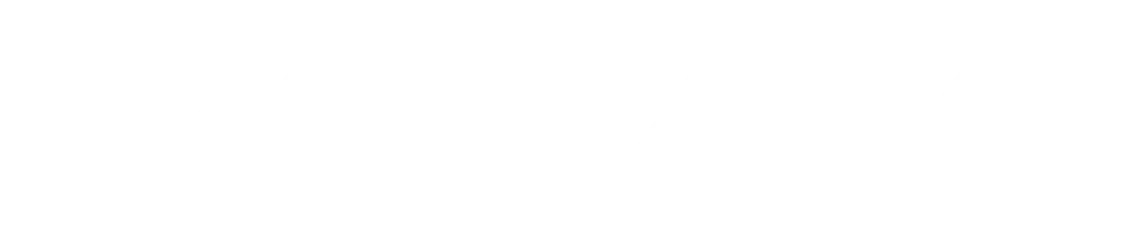 White Pan Am Wordmark without registration symbol