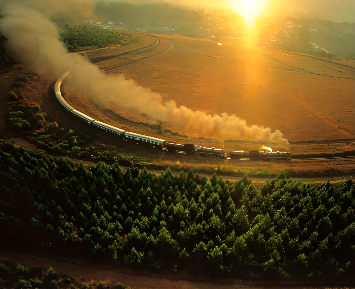 Steam locomotive pulling train cars along curved tracks through green trees and open fields at sunset.
