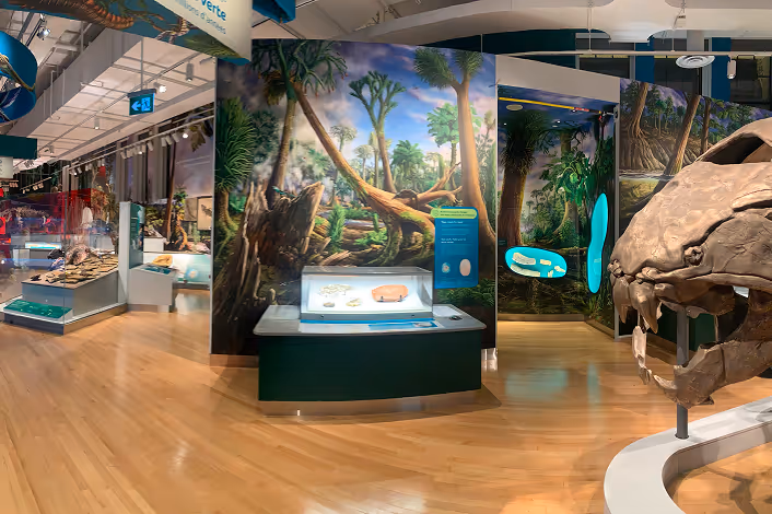 Museum exhibit featuring a large prehistoric skull and display cases with fossils against a mural of a lush ancient forest.