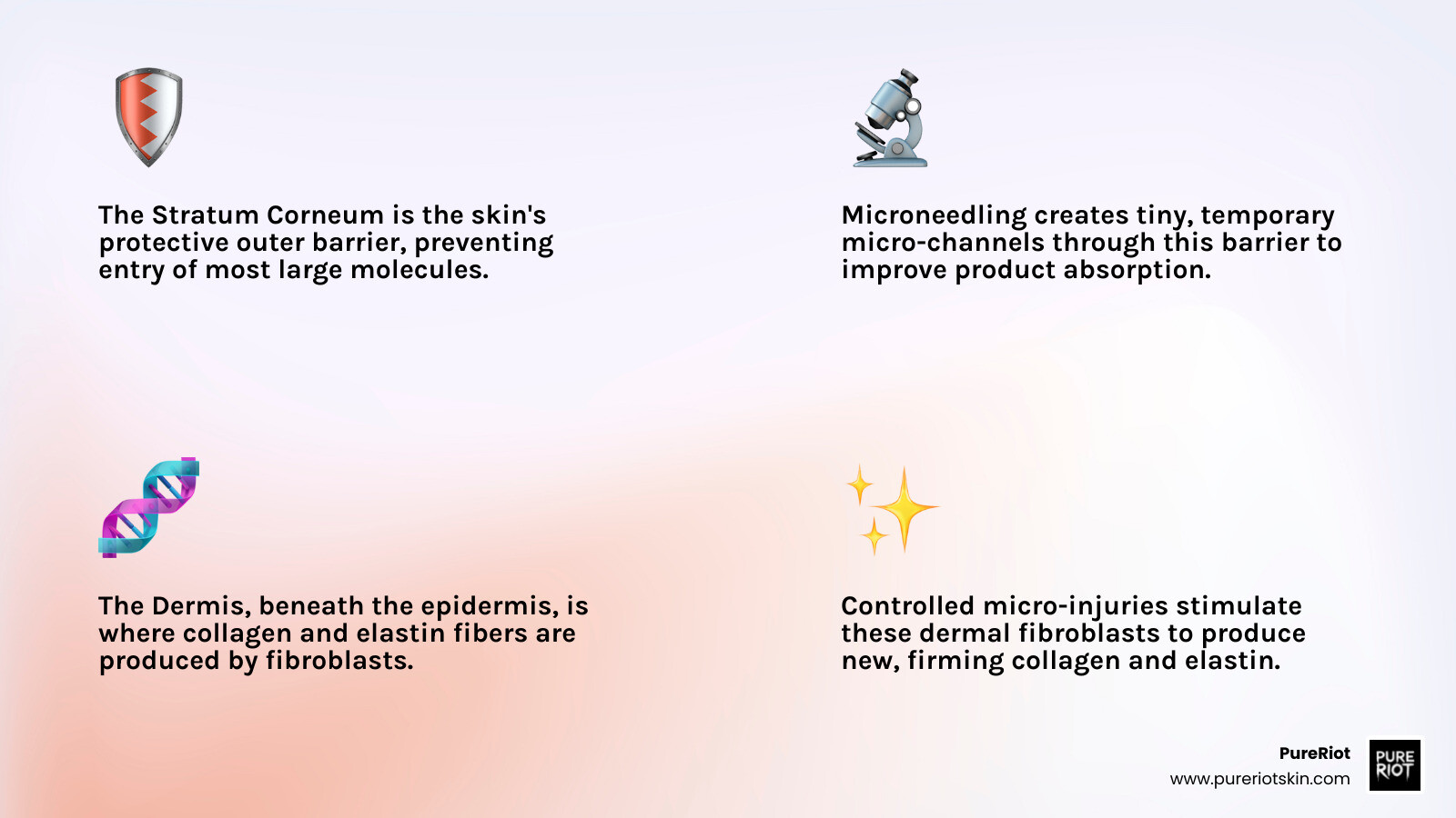 infographic showing the three layers of skin epidermis stratum corneum dermis and hypodermis with collagen fibers in the dermis layer and arrows indicating where microneedling creates channels through the stratum corneum barrier to reach collagen-producing fibroblasts - diy microneedling at home infographic 4_facts_emoji_light-gradient infographic showing the three layers of skin epidermis stratum corneum dermis and hypodermis with collagen fibers in the dermis layer and arrows indicating where microneedling creates channels through the stratum corneum barrier to reach collagen-producing fibroblasts - diy microneedling at home infographic 4_facts_emoji_light-gradient
