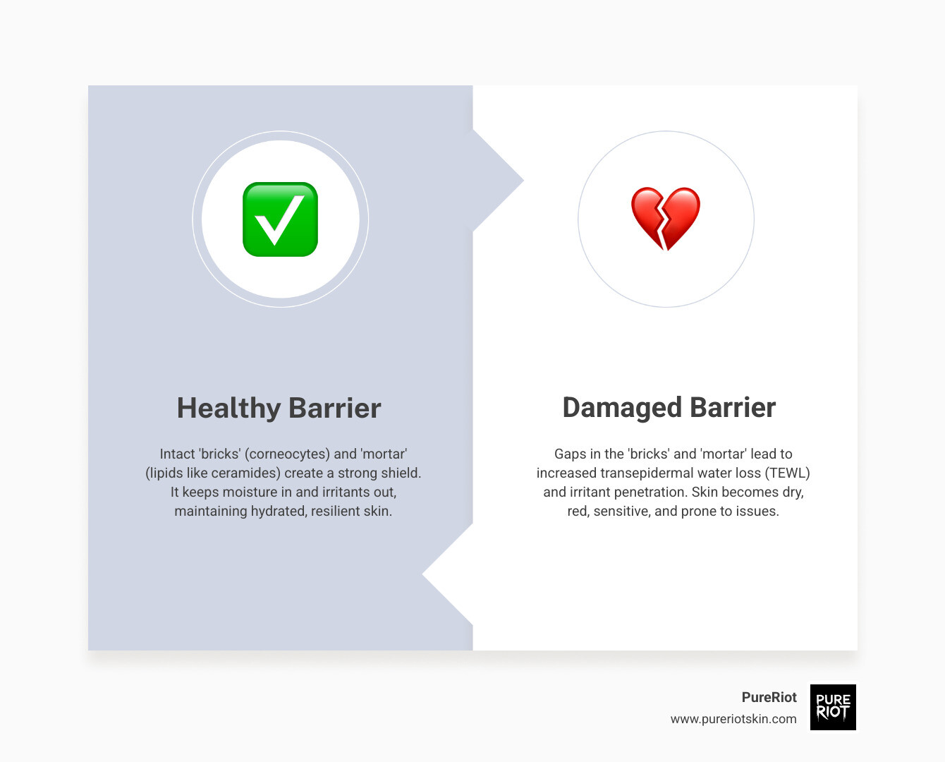 Infographic showing the skin barrier structure with corneocytes as bricks held together by lipids (ceramides, cholesterol, fatty acids) as mortar, illustrating how a healthy barrier keeps moisture in and irritants out, versus a damaged barrier with gaps allowing moisture loss and irritant penetration - improve skin barrier infographic comparison-2-items-formal Infographic showing the skin barrier structure with corneocytes as bricks held together by lipids (ceramides, cholesterol, fatty acids) as mortar, illustrating how a healthy barrier keeps moisture in and irritants out, versus a damaged barrier with gaps allowing moisture loss and irritant penetration - improve skin barrier infographic comparison-2-items-formal