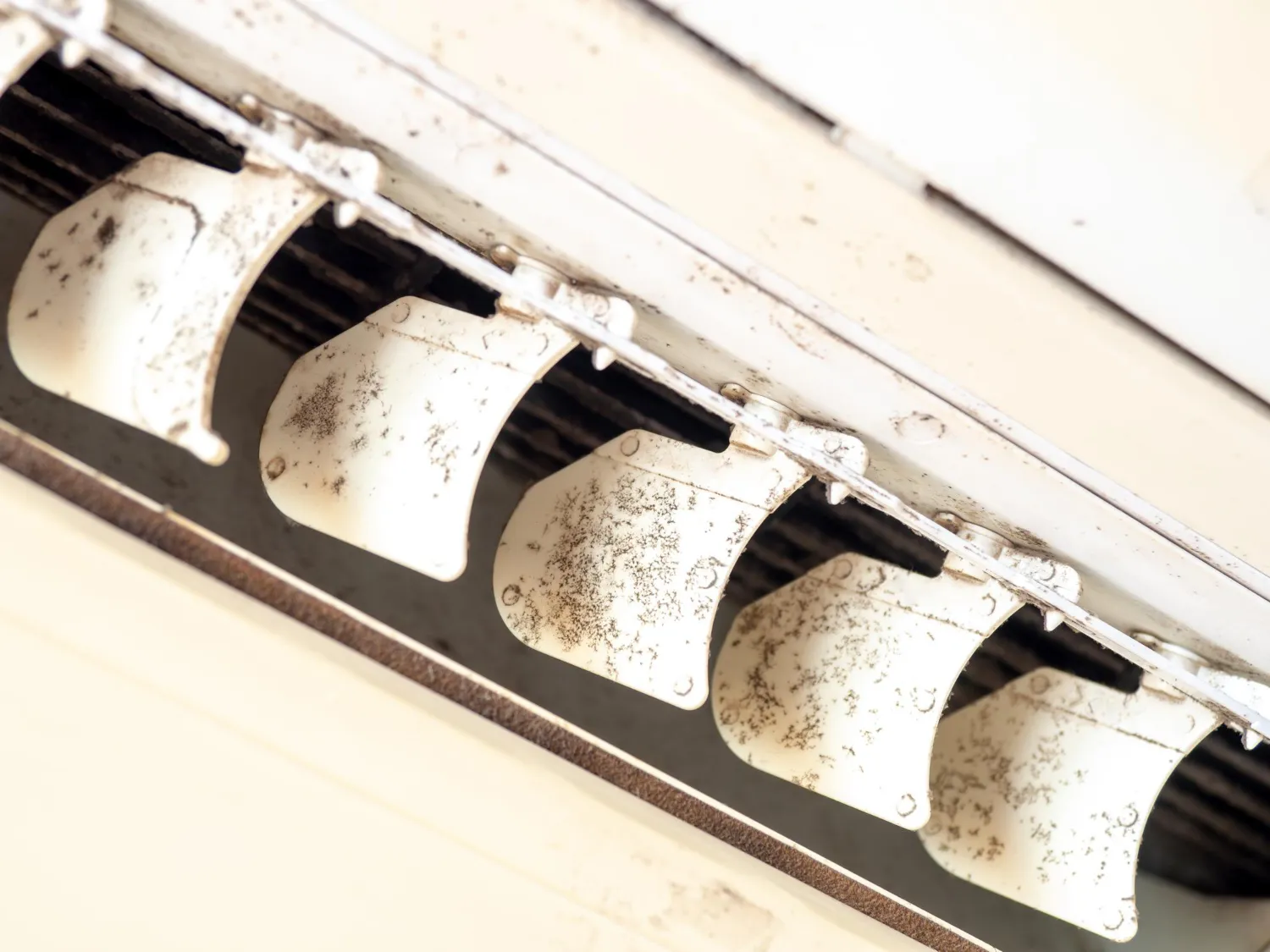 Signs of Mold in Your Air Ducts in Bondurant
