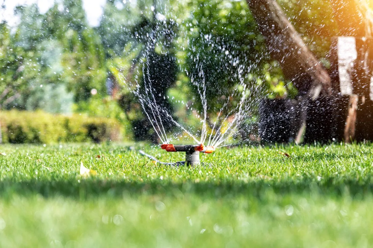 Here Are A Few Ways To Save Water This Summer
