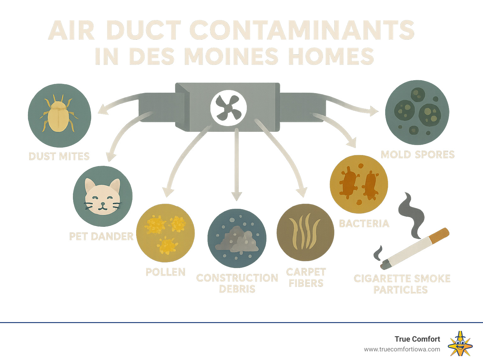 Infographic of common air duct contaminants in Des Moines homes