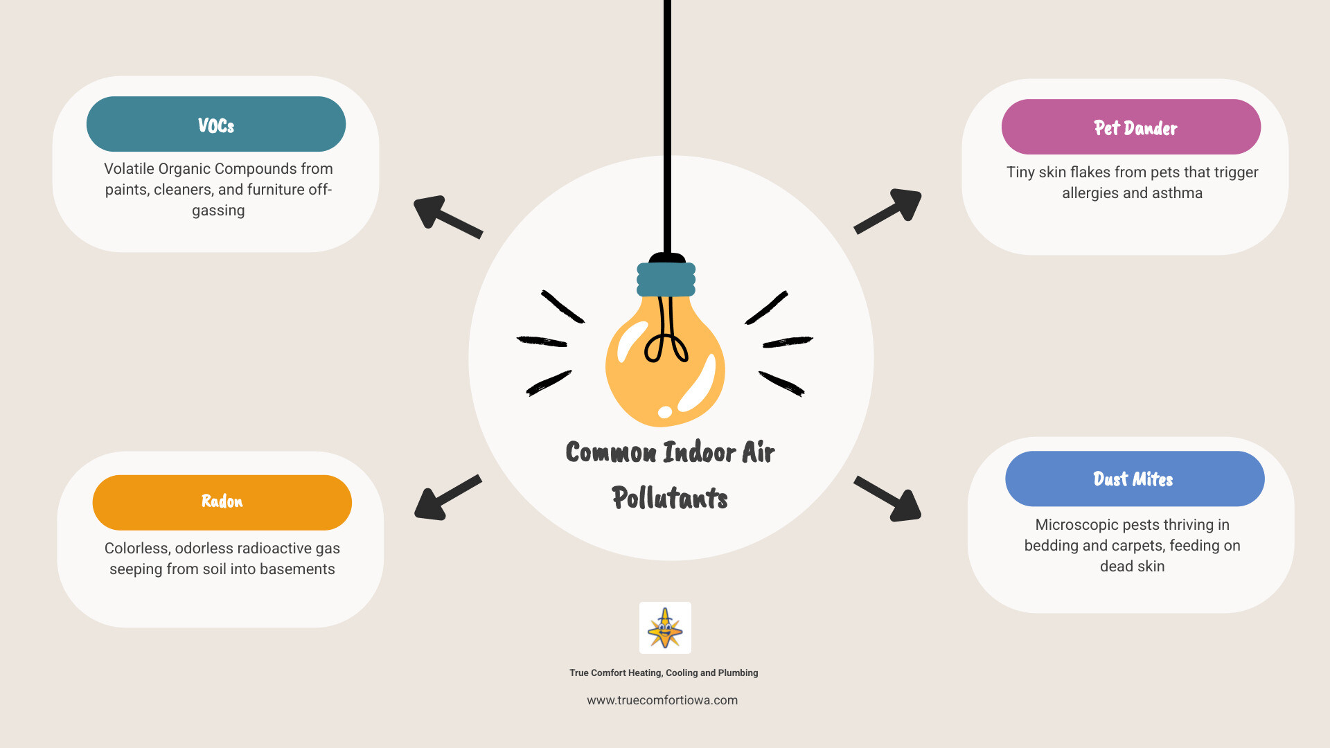 infographic showing common indoor air pollutants including VOCs, radon, pet dander, dust mites, mold, and carbon monoxide infographic showing common indoor air pollutants including VOCs, radon, pet dander, dust mites, mold, and carbon monoxide