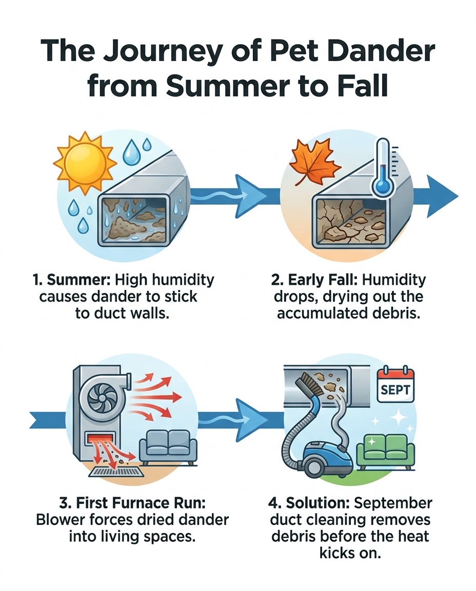 The Journey of Pet Dander from Summer to Fall