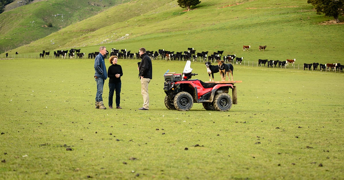 Three people talking in a green field with a red quad bike and two dogs standing on it, cows grazing nearby.