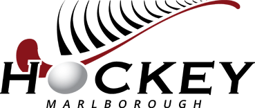 Marlborough District Council logo with stylized maroon sail and silver sphere above text.