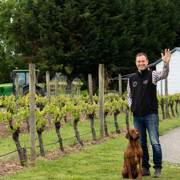 Man waving next to a dog in a vineyard with grapevines, a tractor, and trees in the background.