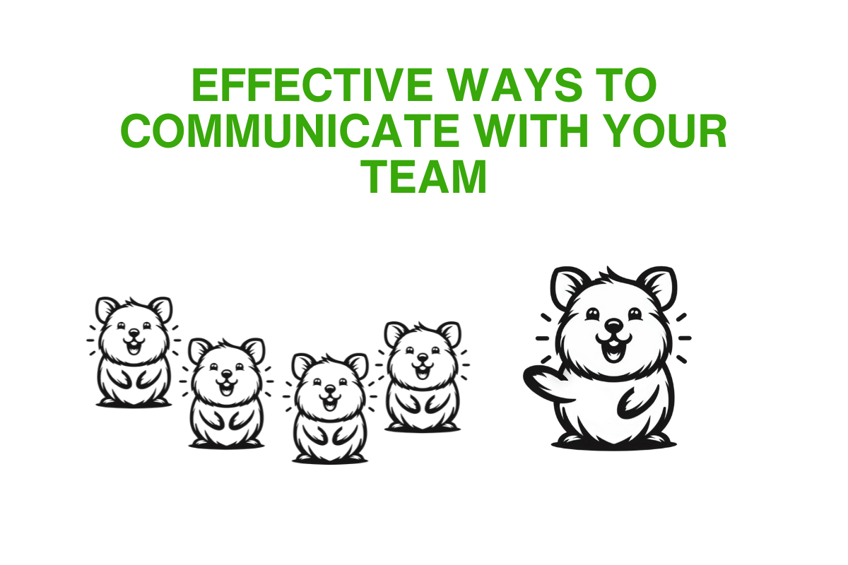 Quokka Hub mascot communicating with other quokkas