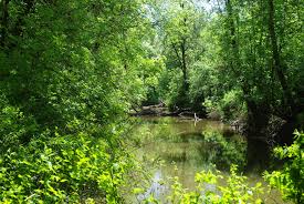 Need a tow truck now? Urgent.ly provides fast roadside assistance on-demand in Beaverton, OR. Fast, reliable, on-demand. Get help now!