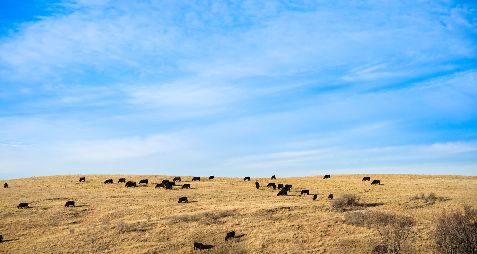 Need a tow truck now? Urgent.ly provides fast roadside assistance on-demand in Bismark, ND. Fast, reliable, on-demand. Get help now!