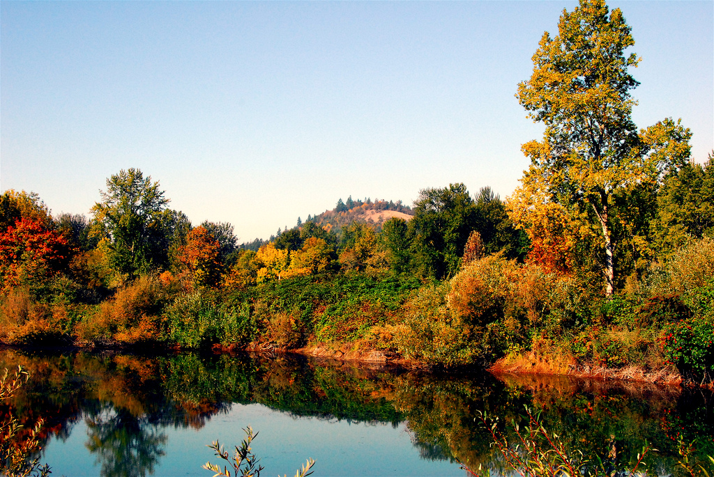Need a tow truck now? Urgent.ly provides fast roadside assistance on-demand in Eugene, OR. Fast, reliable, on-demand. Get help now!
